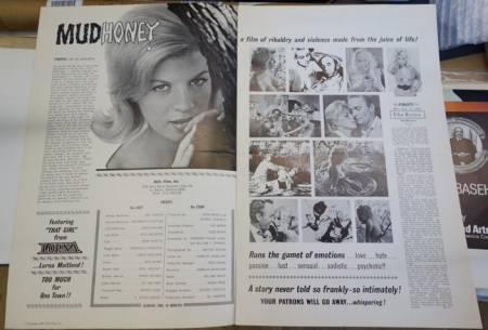 Mudhoney original release US Pressbook