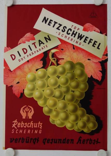 Rebschutz Schering - Diditan original release german advertising poster