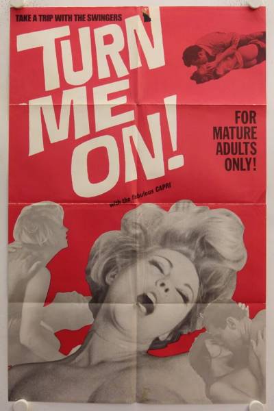 Turn Me On originales US Filmplakat