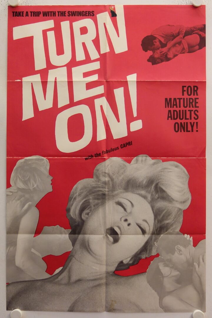 720px x 1080px - Turn Me On original release US Onesheet movie poster