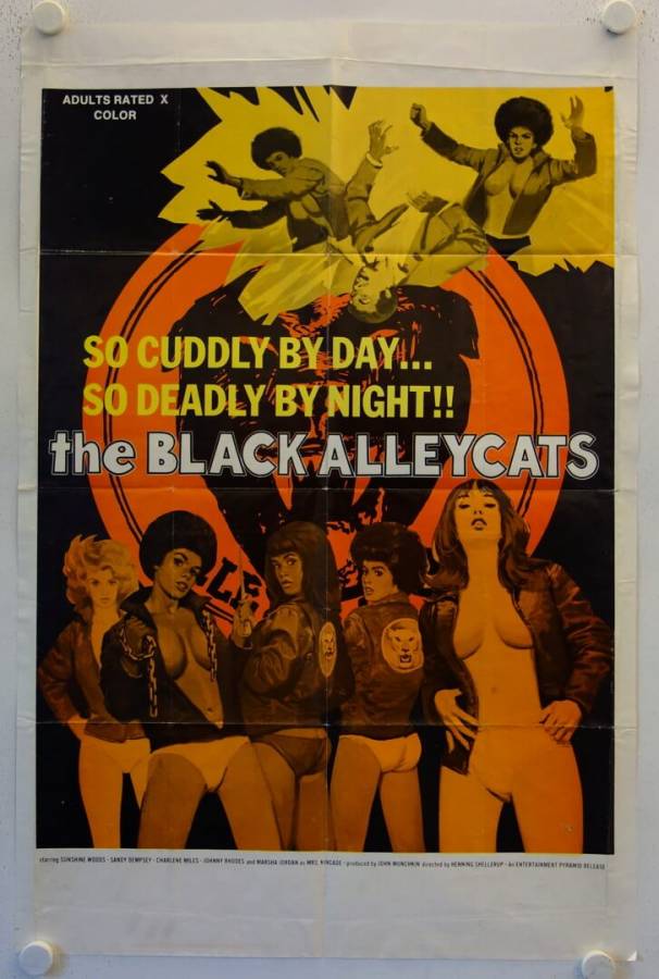 Black Cats - Schwarze Katzen, Heisse Lust originales US Onesheet Filmplakat