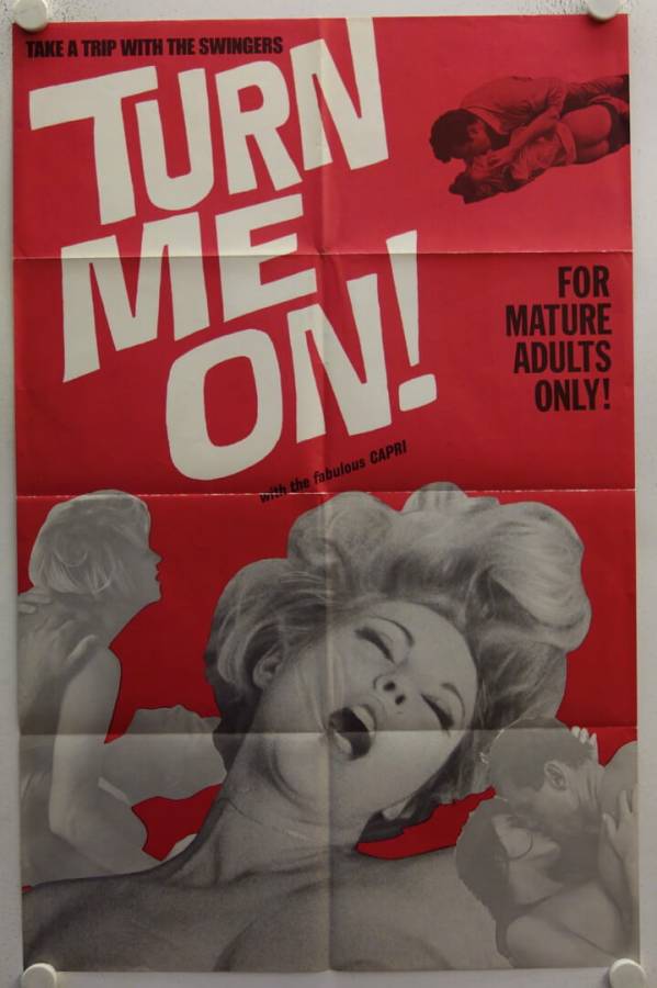 Turn Me On originales US Filmplakat