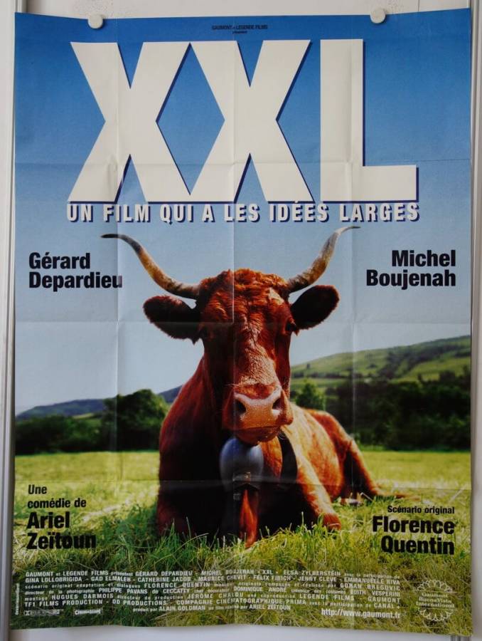 XXL original release large french movie poster