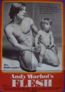 Andy Warhol's Flesh (Flesh)