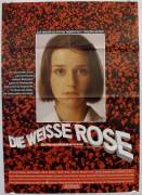 Die weisse Rose (The White Rose)